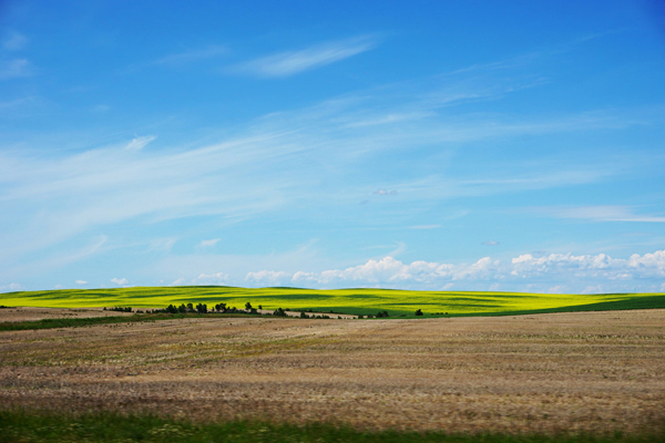 Prairie fields near Saskatoon, in Saskatchewan, Canada
